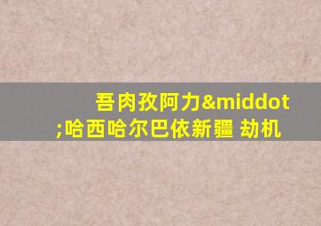 吾肉孜阿力·哈西哈尔巴依新疆 劫机